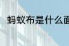 蚂蚁布是什么面料 关于蚂蚁布介绍