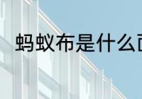 蚂蚁布是什么面料 关于蚂蚁布介绍
