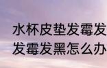 水杯皮垫发霉发黑怎么处理 水杯皮垫发霉发黑怎么办