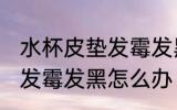 水杯皮垫发霉发黑怎么处理 水杯皮垫发霉发黑怎么办
