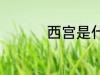 西宫是什么 西宫的含义