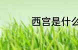 西宫是什么 西宫的含义