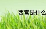 西宫是什么 西宫的含义