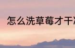 怎么洗草莓才干净 如何洗干净草莓