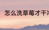 怎么洗草莓才干净 如何洗干净草莓