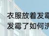 衣服放着发霉了怎么办洗掉 衣服放着发霉了如何洗掉