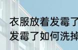 衣服放着发霉了怎么办洗掉 衣服放着发霉了如何洗掉