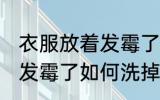 衣服放着发霉了怎么办洗掉 衣服放着发霉了如何洗掉