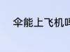 伞能上飞机吗 伞可以带上飞机吗