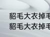 貂毛大衣掉毛怎么处理?碱 如何解决貂毛大衣掉毛