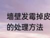 墙壁发霉掉皮怎么处理 墙壁发霉掉皮的处理方法