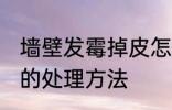 墙壁发霉掉皮怎么处理 墙壁发霉掉皮的处理方法