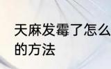 天麻发霉了怎么处理 天麻发霉了处理的方法