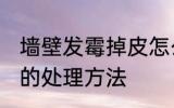 墙壁发霉掉皮怎么处理 墙壁发霉掉皮的处理方法