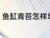 鱼缸青苔怎样培育 鱼缸青苔如何培育
