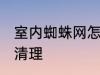 室内蜘蛛网怎么清理 室内蜘蛛网如何清理
