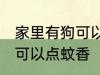 家里有狗可以点蚊香吗 家里有狗可不可以点蚊香
