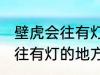 壁虎会往有灯的地方爬吗 壁虎会不会往有灯的地方爬