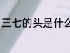 三七的头是什么意思 什么是三七的头