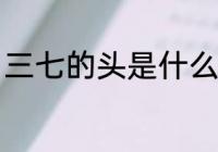 三七的头是什么意思 什么是三七的头