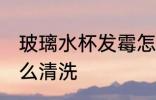 玻璃水杯发霉怎么办 玻璃水杯发霉怎么清洗