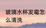 玻璃水杯发霉怎么办 玻璃水杯发霉怎么清洗