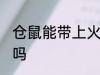 仓鼠能带上火车吗 仓鼠可以带上火车吗