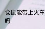仓鼠能带上火车吗 仓鼠可以带上火车吗