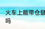 火车上能带仓鼠吗 火车上可以带仓鼠吗