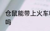 仓鼠能带上火车吗 仓鼠可以带上火车吗