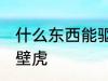 什么东西能驱赶壁虎 哪些东西能驱赶壁虎