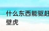 什么东西能驱赶壁虎 哪些东西能驱赶壁虎