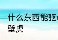 什么东西能驱赶壁虎 哪些东西能驱赶壁虎