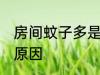 房间蚊子多是怎么回事 房间蚊子多的原因