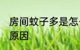 房间蚊子多是怎么回事 房间蚊子多的原因