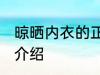 晾晒内衣的正确方法 晾晒内衣的方法介绍