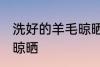 洗好的羊毛晾晒方法 洗好的羊毛如何晾晒