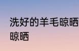 洗好的羊毛晾晒方法 洗好的羊毛如何晾晒