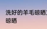 洗好的羊毛晾晒方法 洗好的羊毛如何晾晒