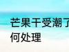芒果干受潮了怎么办 芒果干受潮了如何处理