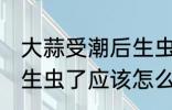 大蒜受潮后生虫了怎么办 大蒜受潮后生虫了应该怎么办