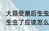 大蒜受潮后生虫了怎么办 大蒜受潮后生虫了应该怎么办