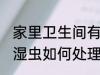 家里卫生间有潮湿虫 家里卫生间有潮湿虫如何处理