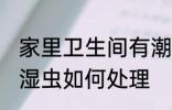 家里卫生间有潮湿虫 家里卫生间有潮湿虫如何处理