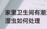 家里卫生间有潮湿虫 家里卫生间有潮湿虫如何处理