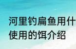 河里钓扁鱼用什么饵最好 河里钓扁鱼使用的饵介绍