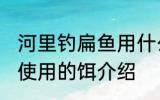 河里钓扁鱼用什么饵最好 河里钓扁鱼使用的饵介绍