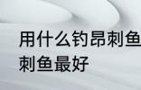 用什么钓昂刺鱼最好 用什么诱饵钓昂刺鱼最好