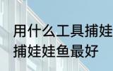 用什么工具捕娃娃鱼最好 用什么工具捕娃娃鱼最好
