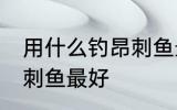 用什么钓昂刺鱼最好 用什么诱饵钓昂刺鱼最好